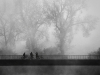  fot. Aneta Konik